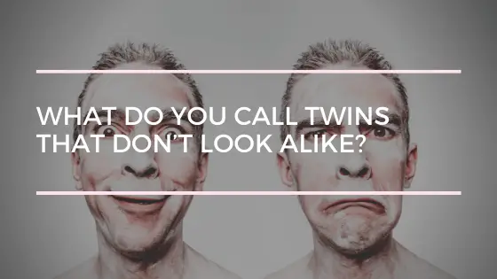 What Do You Call Twins That Don T Look Alike
